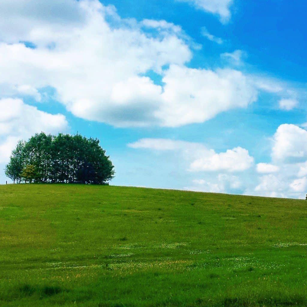 WHY SHOULD YOU GO WWOOFING