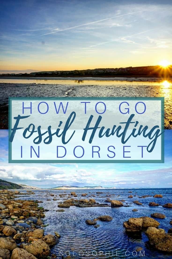 How to go fossil hunting in Dorset, England: In search of fossils (belemnites, ammonites, crinoids, etc) along the Jurrasic Coastline in the UK!