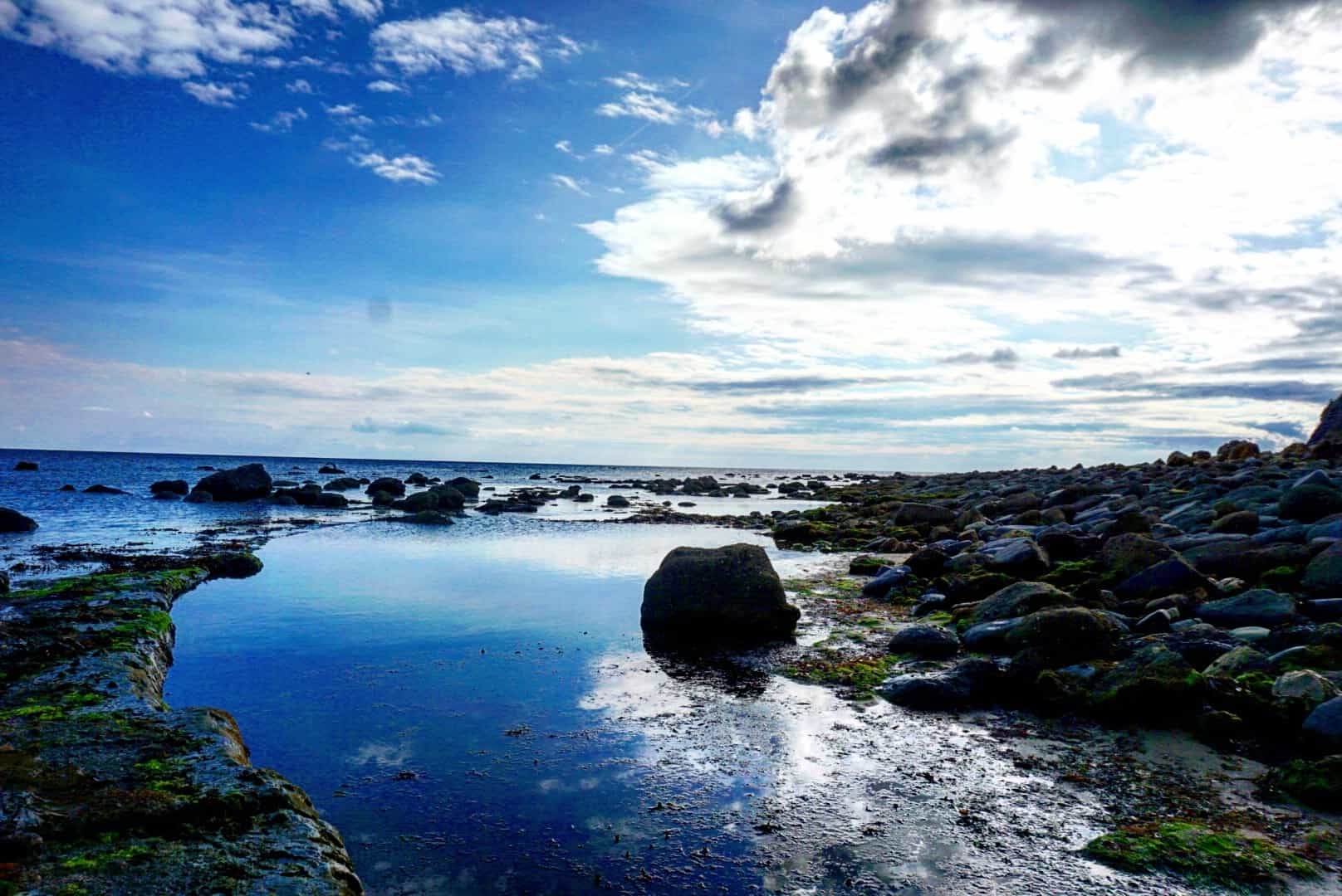 how to go fossil hunting in dorset england