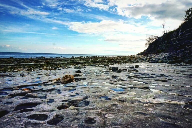how to go fossil hunting in dorset england