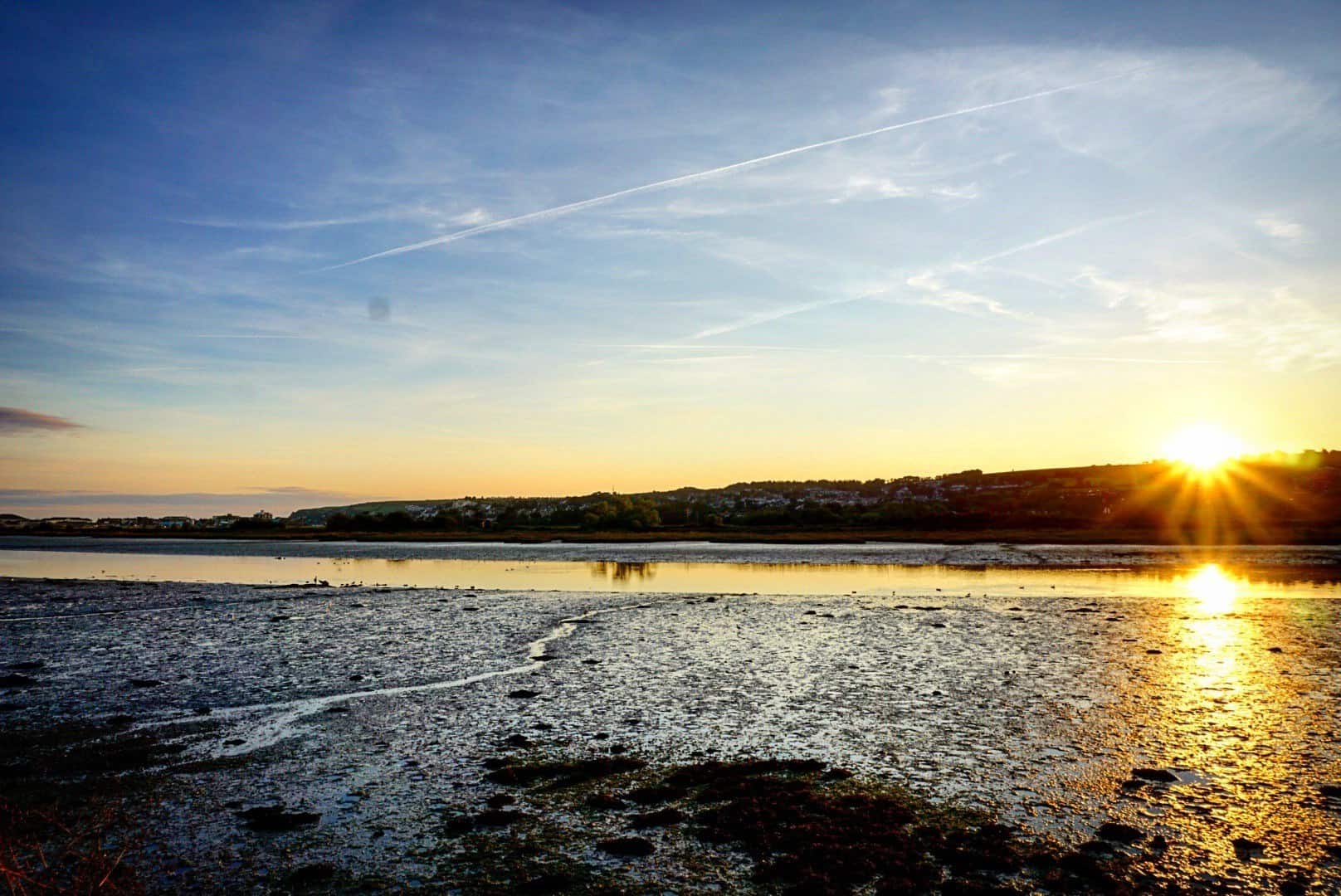 how to go fossil hunting in dorset england