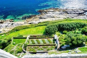 gardens at st michael's mount marazion