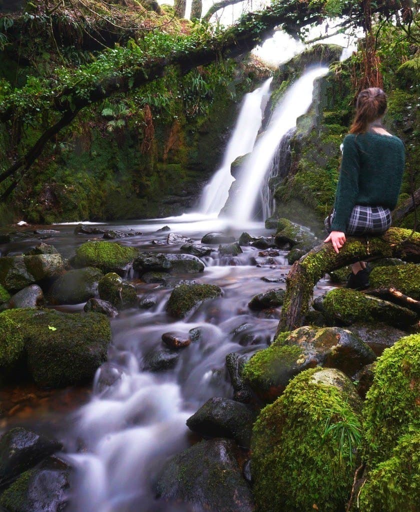 venford falls sophie nadeau
