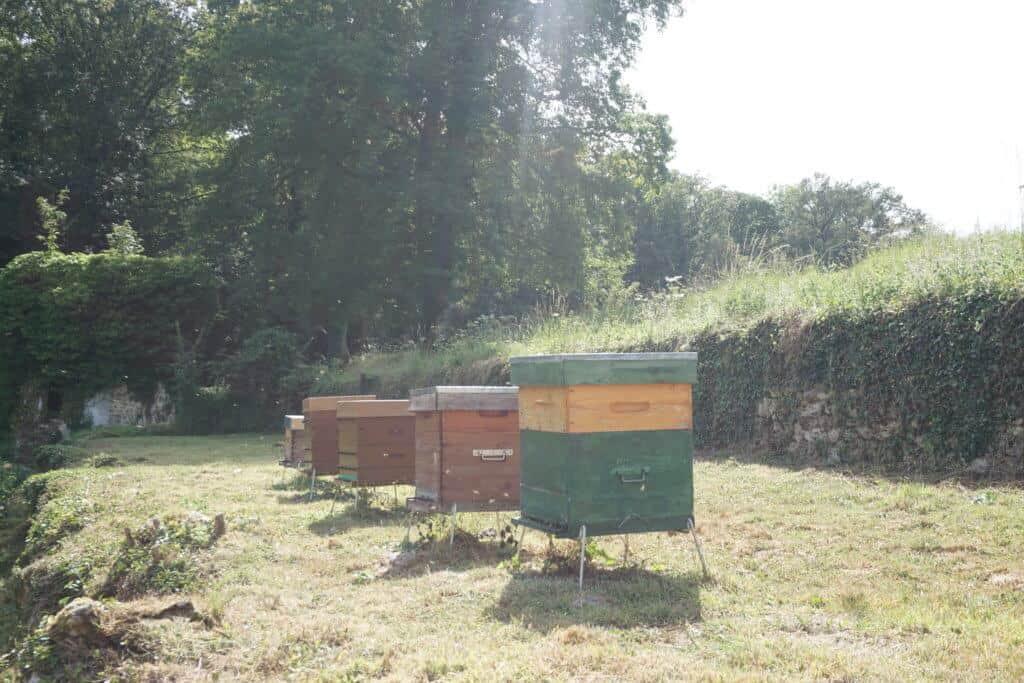 port royal des champs abbey chevreuse france honey bees
