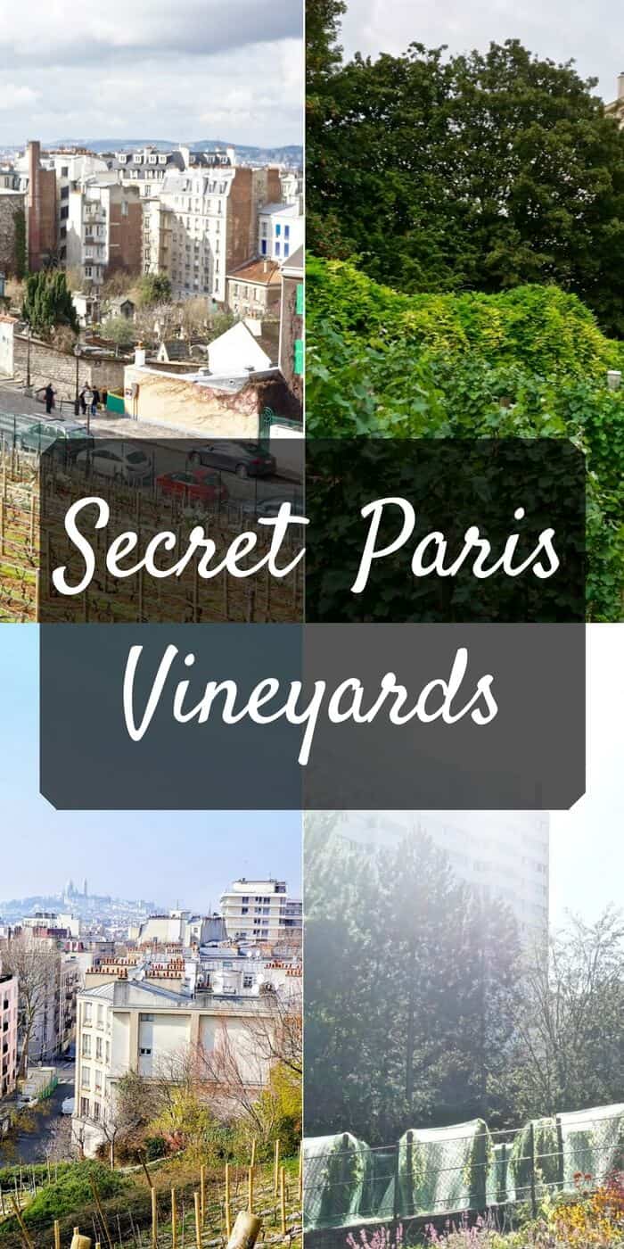 secret paris vineyards