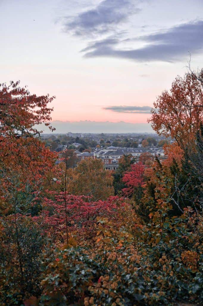 terrace gardens richmond