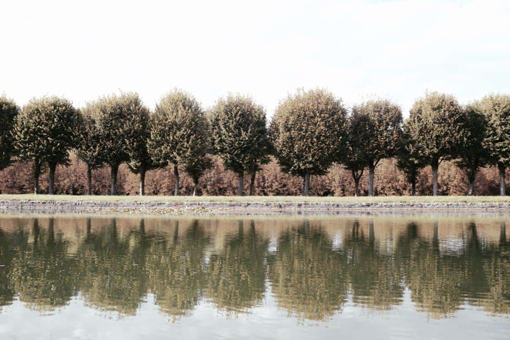 autumn in fontainebleau
