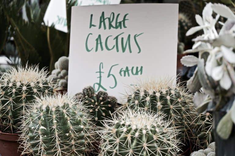 COLUMBIA ROAD FLOWER MARKET, LONDON