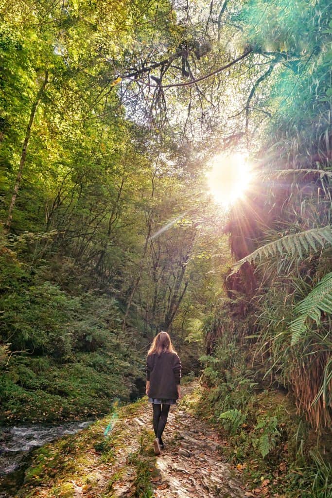 guide to lydford gorge