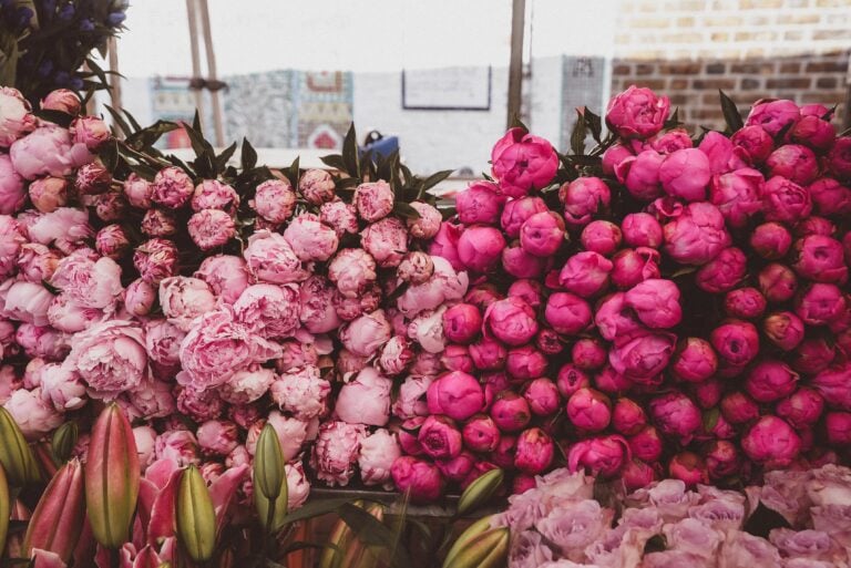 columbia road flower market