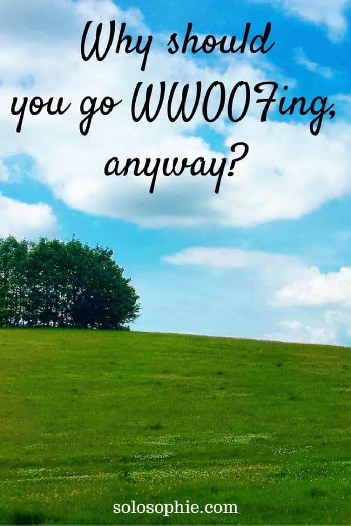 why should you go wwoofing?