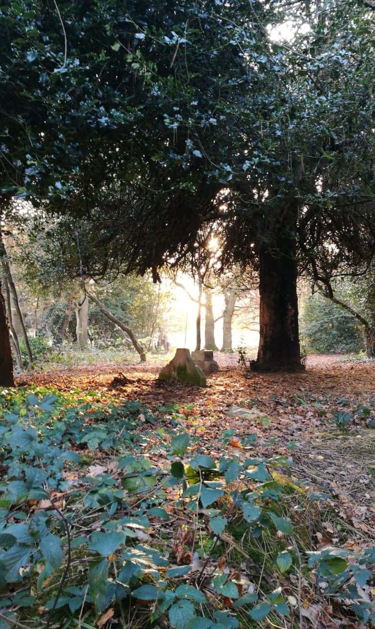 old barnes cemetery urbex london uk