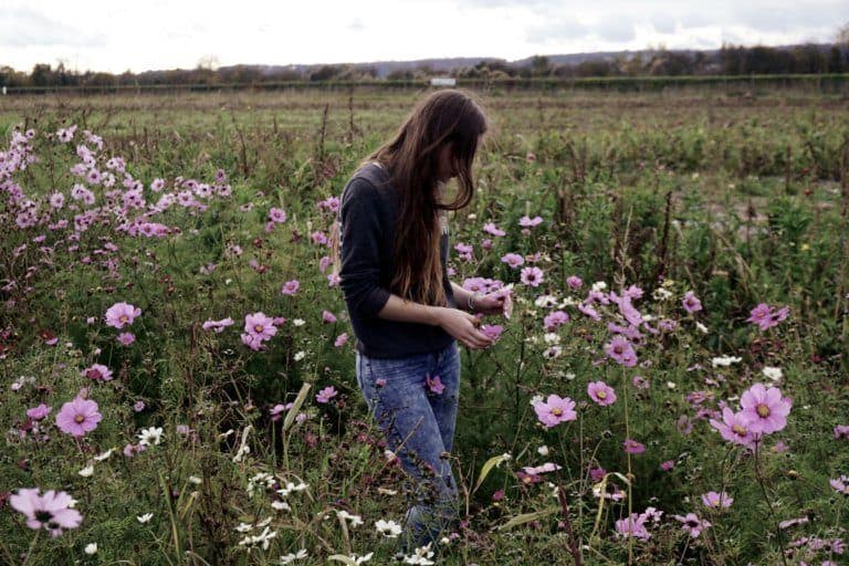 german travel words that have no direct english translation