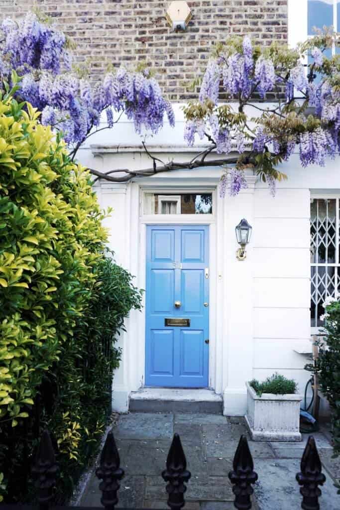 christchurch street: a guide to finding the best wisteria spots in london england