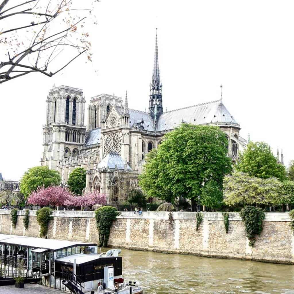where to find the best cherry blossoms at notre dame in paris, france