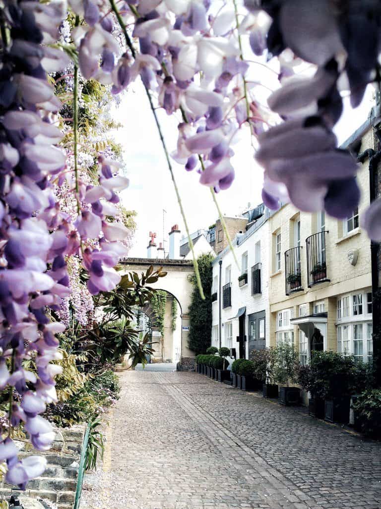 Visiting the Mews of London, England: Kynance Mews