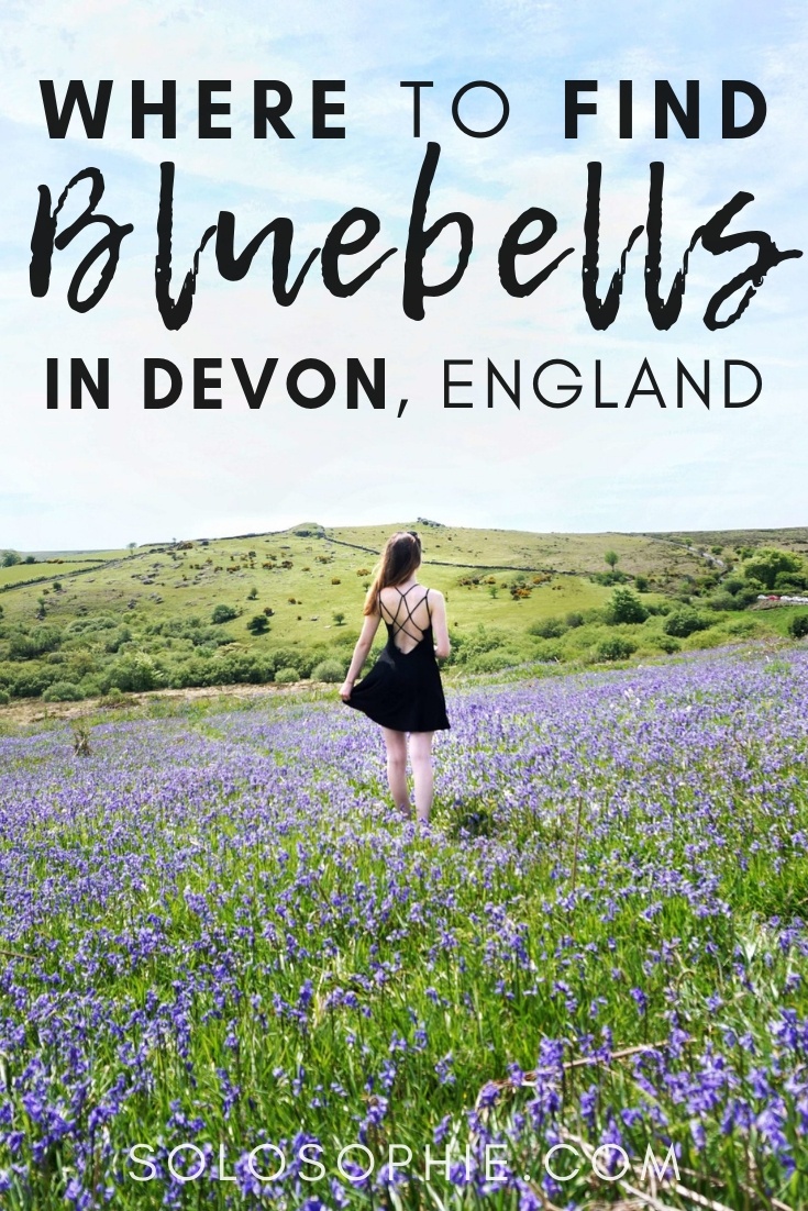 Looking for the best bluebells in Dartmoor National Park? Here's your guide to finding the most beautiful of the flowers in Devon, South West England