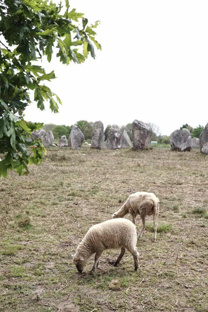 Carnac Stones, Brittany, France