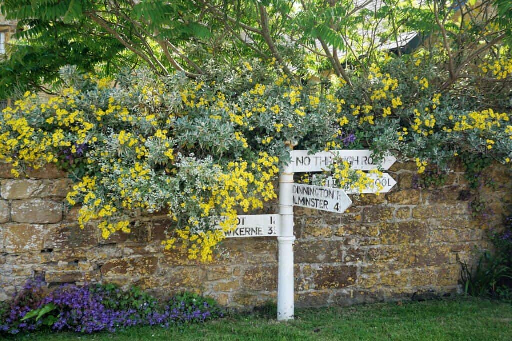 Signpost, Hinton St George, Somerset, England (things to see, do and visit)