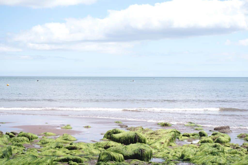 Guide to Shaldon, Devon, England: Ness Beach