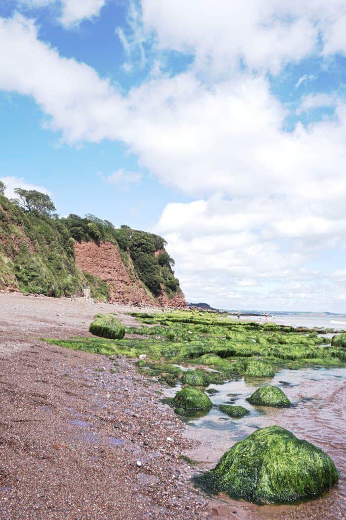 Guide to Shaldon, Devon, England: Ness Beach