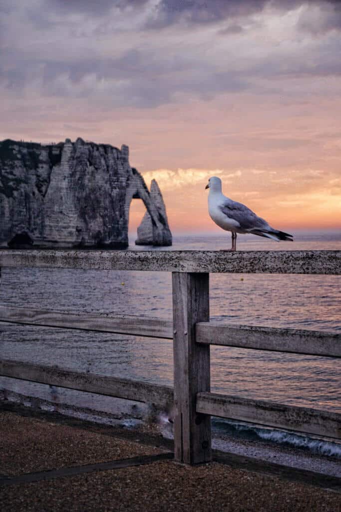 Practical Advice, Tricks and Tips for visiting Etretat, Northern France