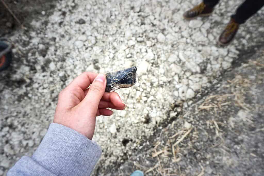 Cat's Brain Long Barrow A Neolithic Site in Wiltshire Ebgland. Burial Mound dating back 5000 years in the UK