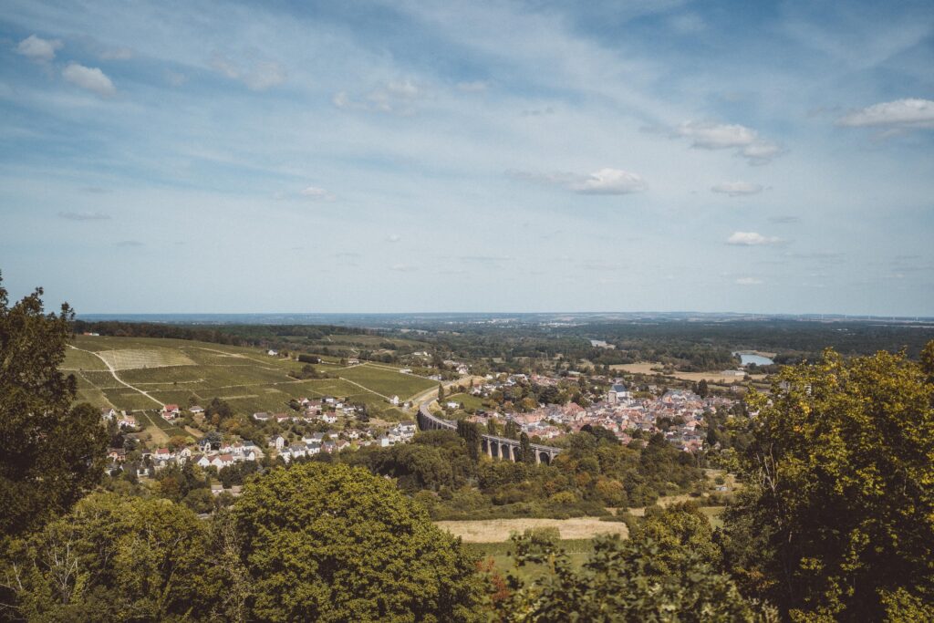 sancerre vineyards