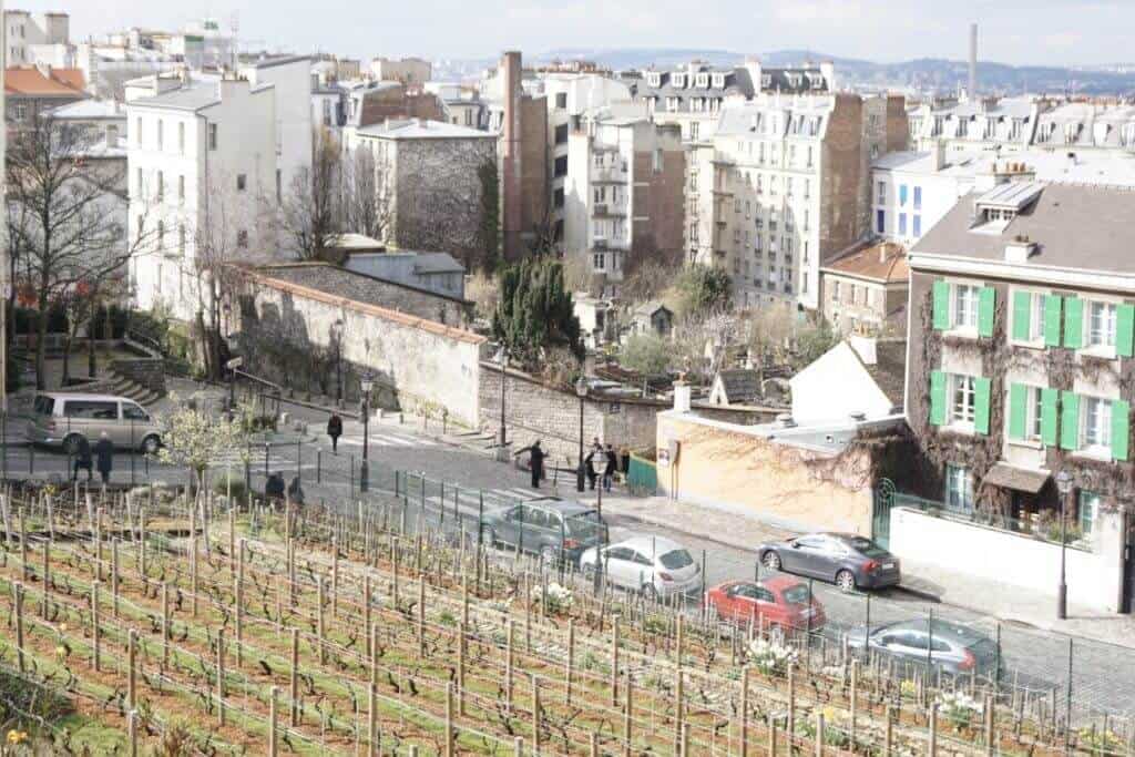 Montmartre Walking Tour: Clos Montmartre