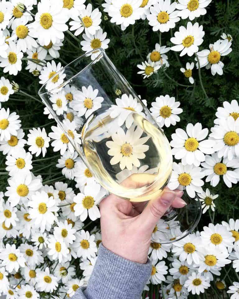 Solo Travel Tips- Eating alone as a solo traveller, the art of dining for one!