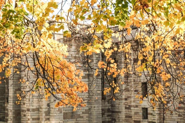 Château de Vincennes day trip from Paris, France: