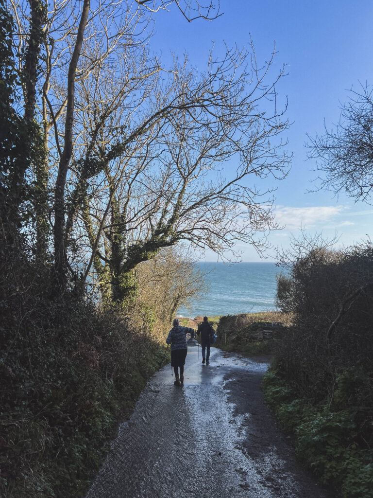 Walkers going down road at East Prawle
