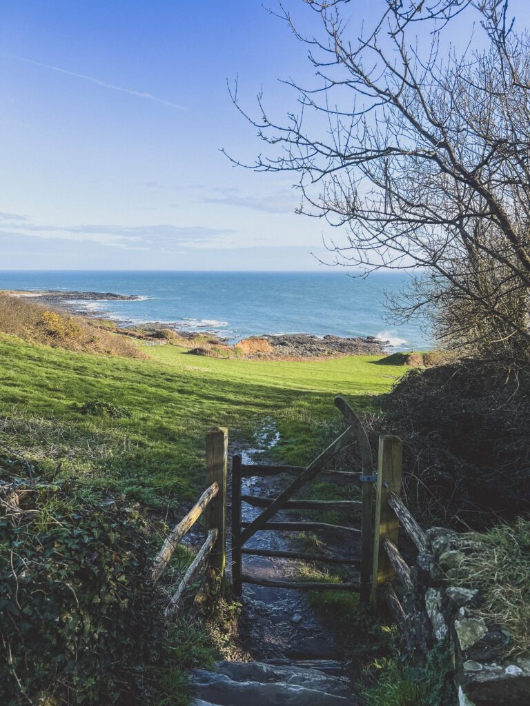 Coastal path East Prawle