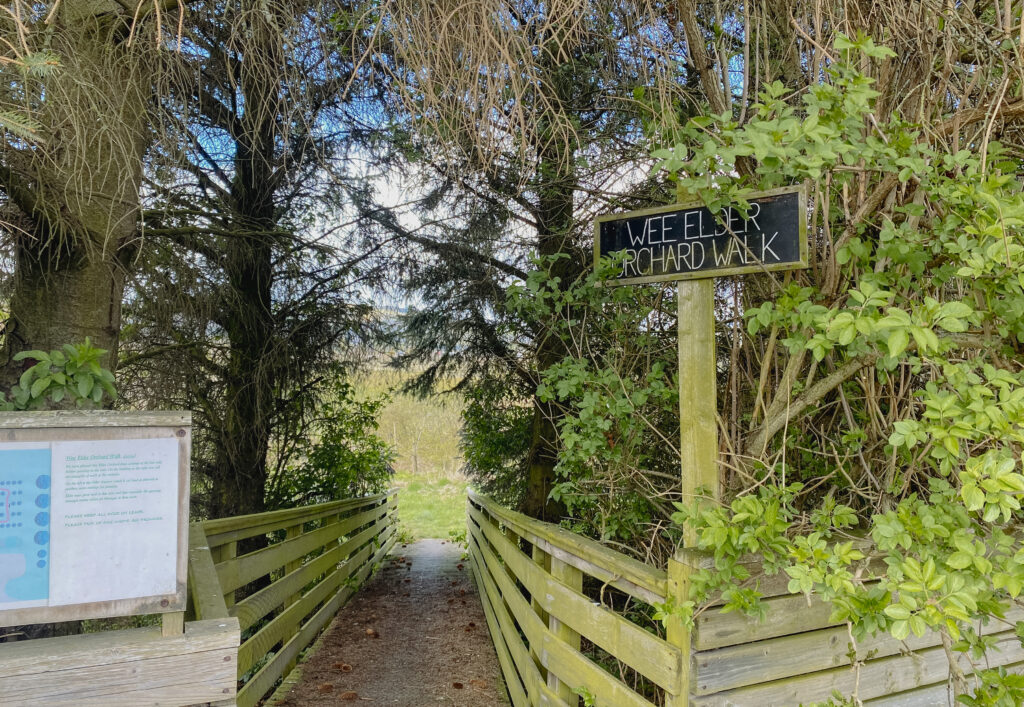 cairn o mohr winery vineyard entrance