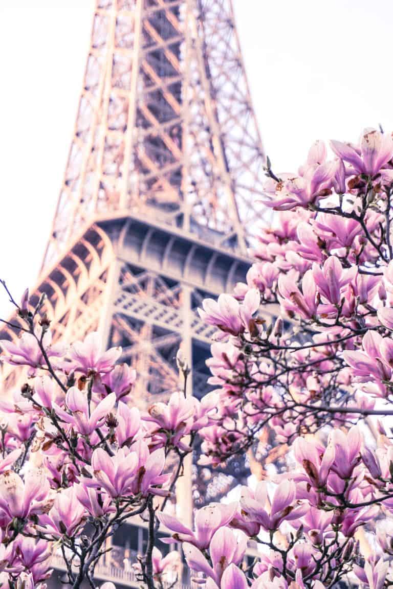 When to visit Paris: a season by season guide on when to visit the city of light, Paris, France