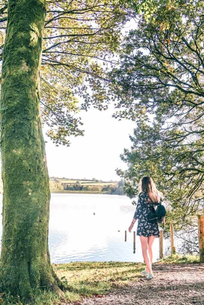  Burrator Reservoir: visiting the prettiest body of water in Dartmoor National Park, Devon, England: edge of the woods