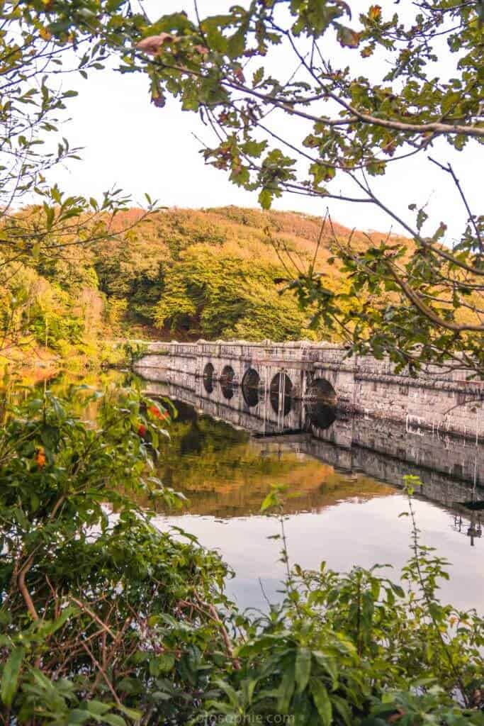Burrator Reservoir: visiting the prettiest body of water in Dartmoor National Park, Devon, England: reflections