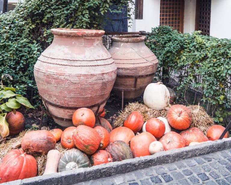 Halloween in France and some spooky French Halloween Vocabulary