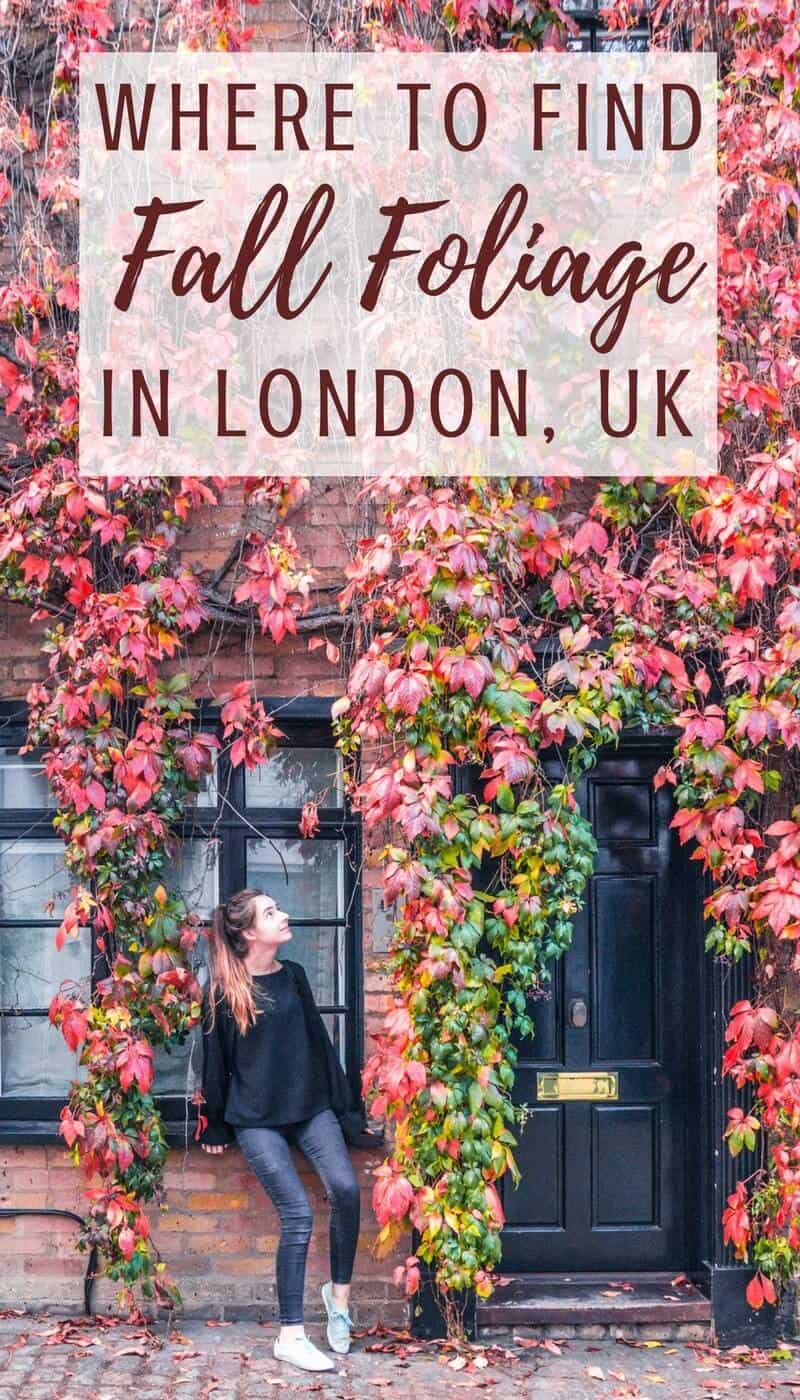 where to find the best fall foliage in London- all of the best locations to see autumn in London, England!
