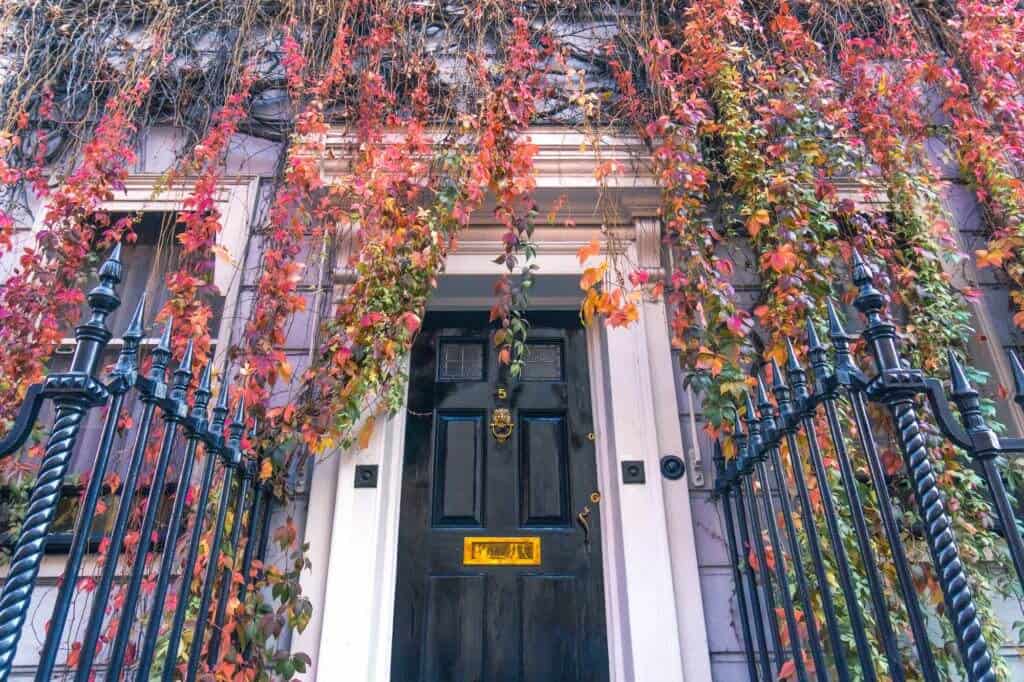 Where to see the fall foliage in London, England: Wimpole Street