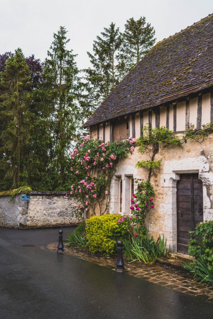 roses in provins