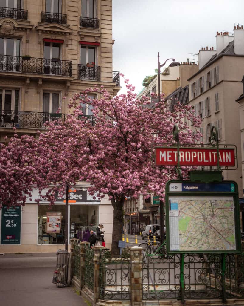 Falguière metro station cherry blossoms