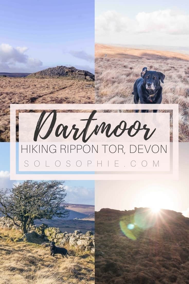 Hiking Rippon Tor, near Haytor, Dartmoor Walks, Devon, England: walking to one of the highest trig points on Dartmoor National Park.