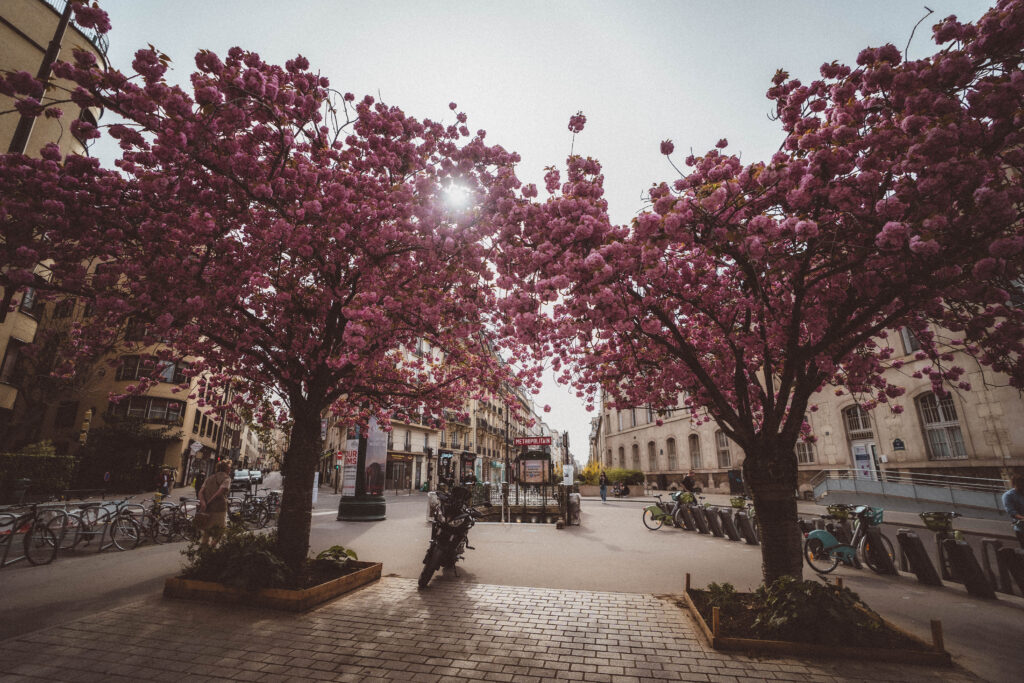 Place Camille Claudel
