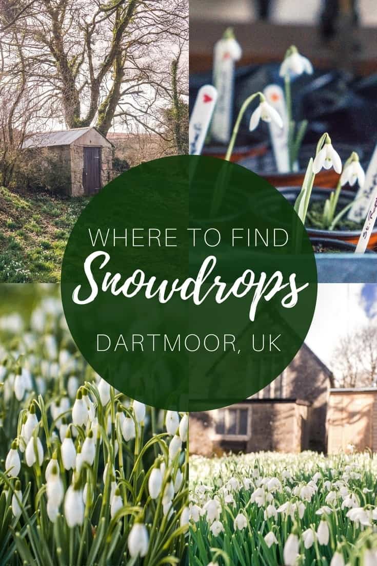 Snowdrops on Dartmoor, Devon, England: Here's where to find the very best spring blooms in the National Park. The quaint church of Huccaby, dedicated to St Raphael.
