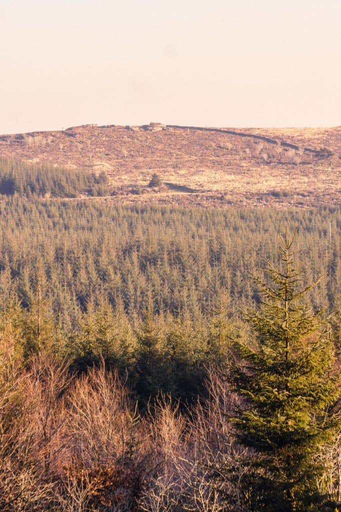 A quick guide to Bellever Forest, Bellever Tor, Bellever Village, Dartmoor National Park, Devon, England: view from bellever to