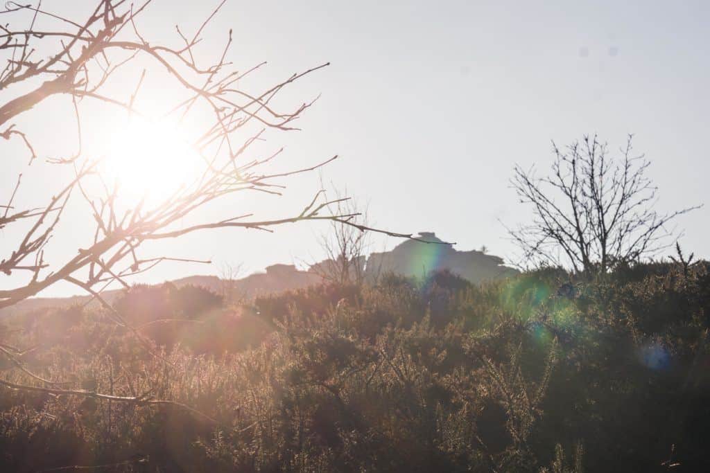 A quick guide to Bellever Forest, Bellever Tor, Bellever Village, Dartmoor National Park, Devon, England: bellever tor