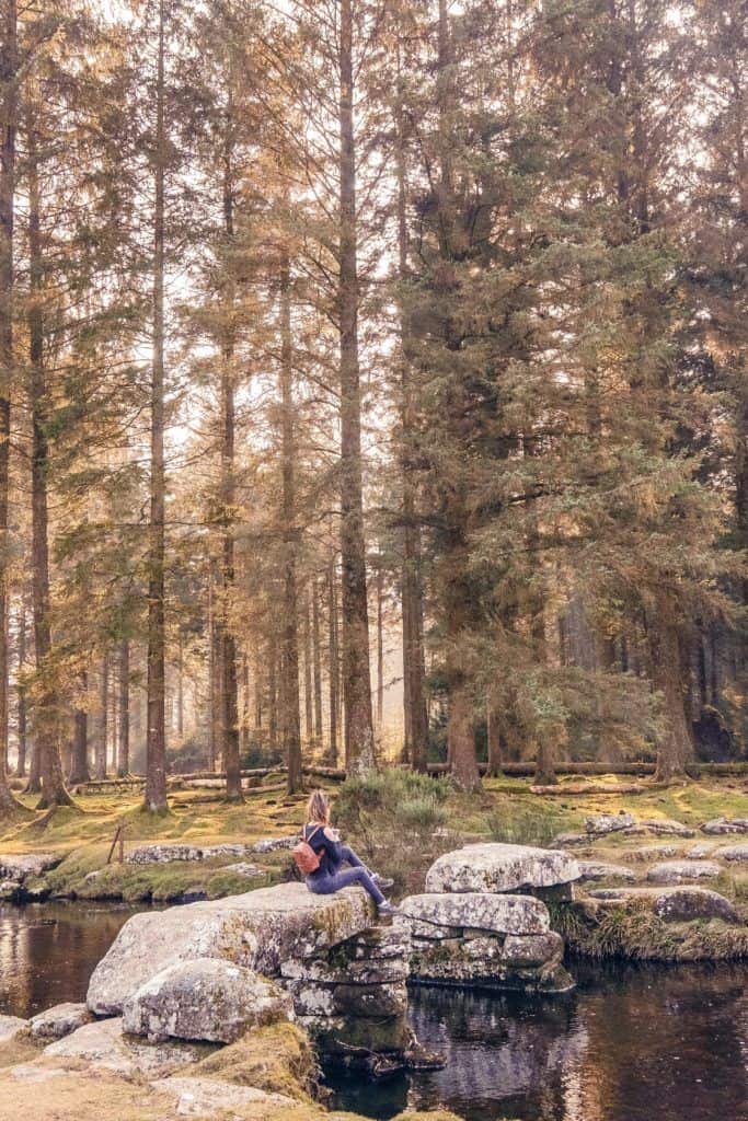 A quick guide to Bellever Forest, Bellever Tor, Bellever Village, Dartmoor National Park, Devon, England: medieval bridge