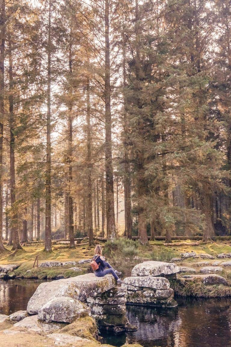 A quick guide to Bellever Forest, Bellever Tor, Bellever Village, Dartmoor National Park, Devon, England: medieval bridge