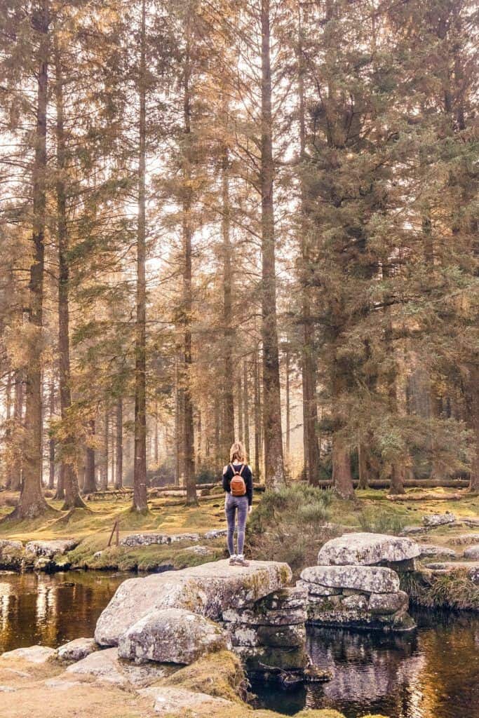 A quick guide to Bellever Forest, Bellever Tor, Bellever Village, Dartmoor National Park, Devon, England: clapper bridge